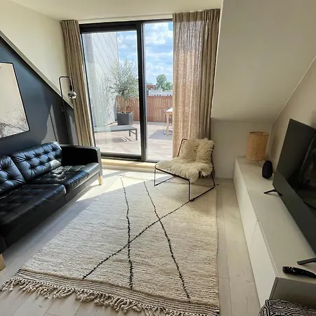 公寓 Penthouse With Airconditioning And Big Terrace, Close To Sint-pieters Station And Centre 根特