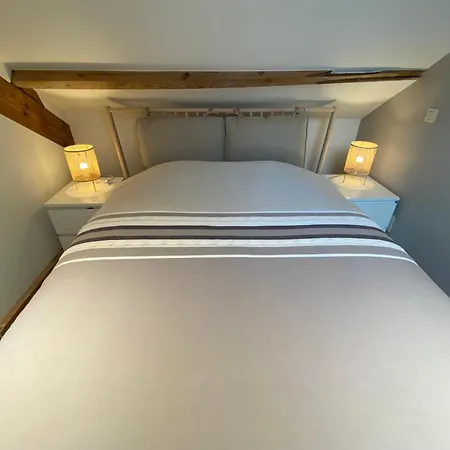 Penthouse With Airconditioning And Big Terrace, Close To Sint-pieters Station And Centre Apartment *