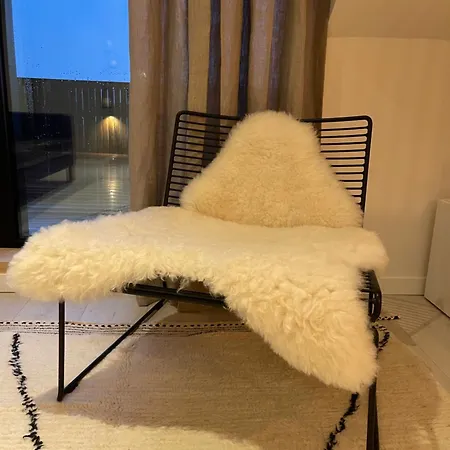 公寓 Penthouse With Airconditioning And Big Terrace, Close To Sint-pieters Station And Centre 根特