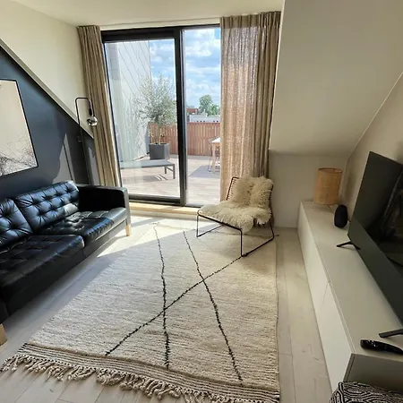 公寓 Penthouse With Airconditioning And Big Terrace, Close To Sint-pieters Station And Centre 根特