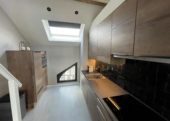 Penthouse With Airconditioning And Big Terrace, Close To Sint-pieters Station And Centre Apartment Ghent