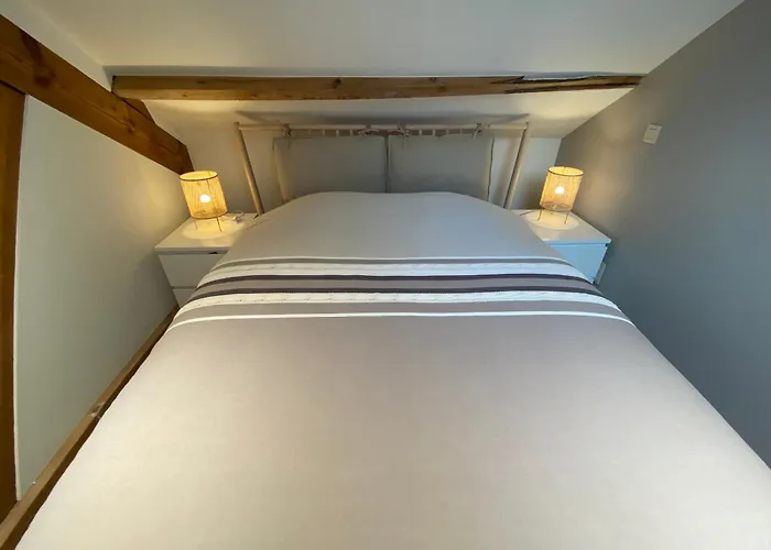 Penthouse With Airconditioning And Big Terrace, Close To Sint-pieters Station And Centre Apartment *