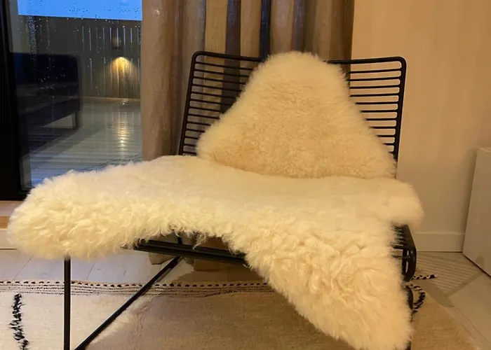 Apartment Penthouse With Airconditioning And Big Terrace, Close To Sint-pieters Station And Centre Ghent