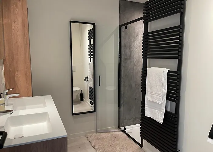 Penthouse With Airconditioning And Big Terrace, Close To Sint-pieters Station And Centre Gante